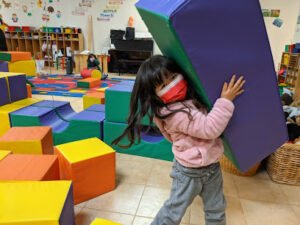 What subjects are taught in primary school?