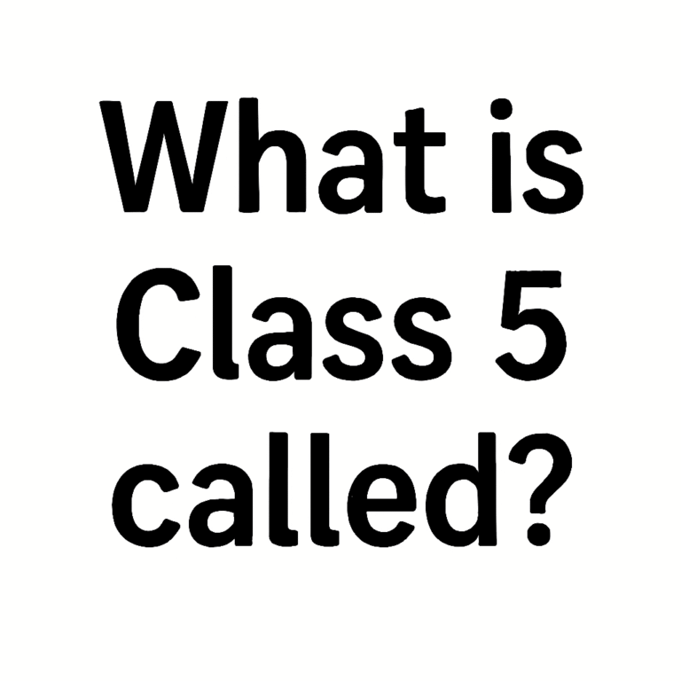 What is Class 5 called?